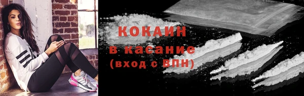 прущие грибы Беломорск