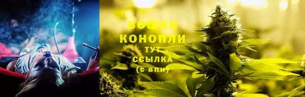 кокс Белокуриха