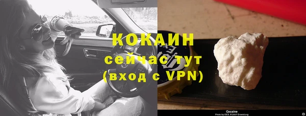 прущие грибы Беломорск