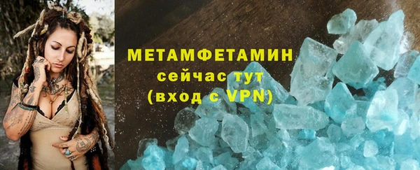 прущие грибы Беломорск