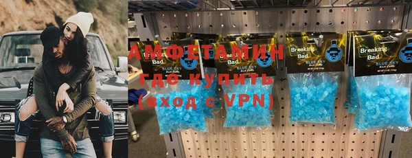 прущие грибы Беломорск