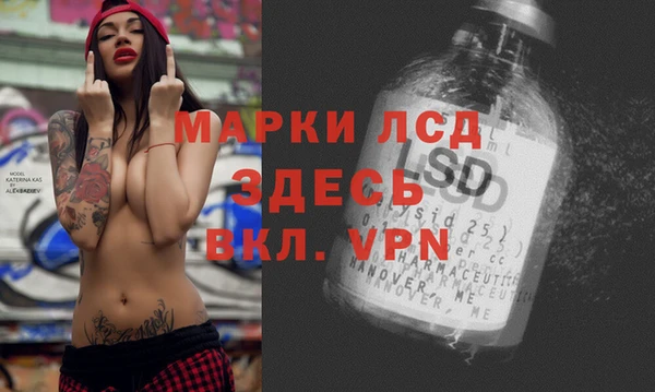 прущие грибы Беломорск