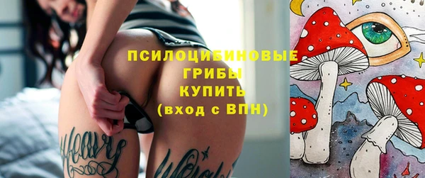 кокс Белокуриха