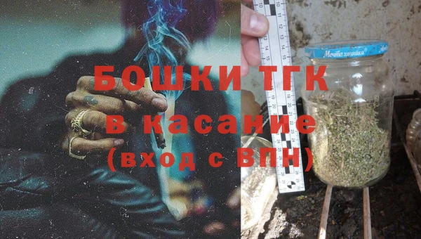 прущие грибы Белоозёрский