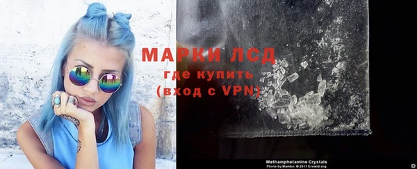 прущие грибы Беломорск