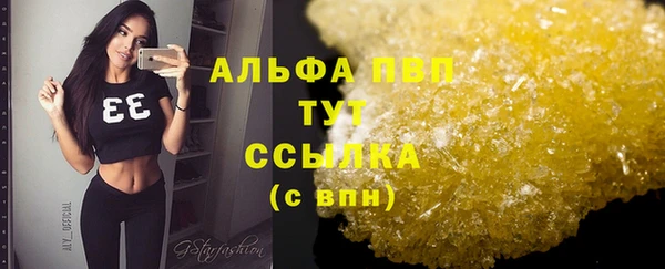 кокс Белокуриха