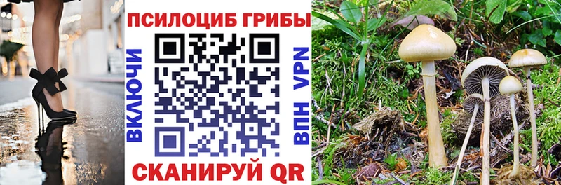 Псилоцибиновые грибы прущие грибы  Шатура 
